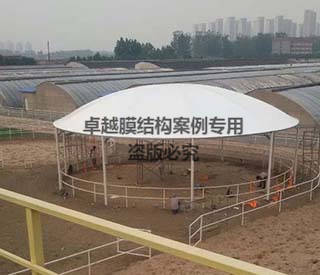 天津驪郡馬術俱樂部膜結(jié)構罩棚